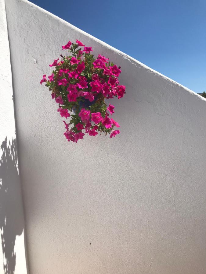 Bonita Casa Adosada Empuriabrava Exteriér fotografie